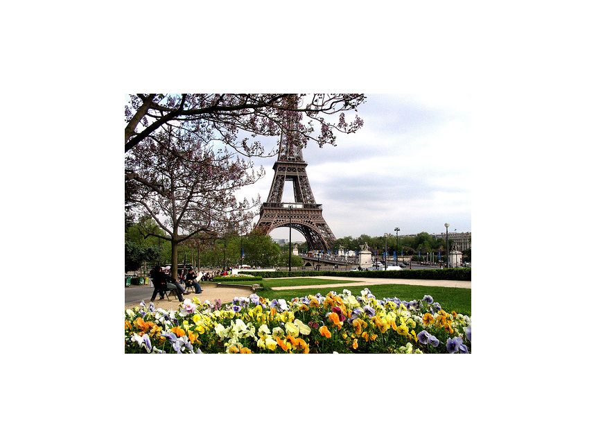 კულტურული და შოპინგ ტური პარიზში საუკეთესო ფასად