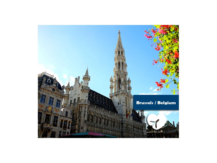 ბრუსელი / ბელგია ეწვიე ევროპის შთამბეჭდავ ქალაქს  ტელ.:    , მობ.: