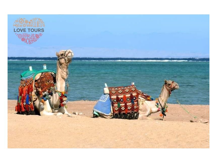 საუკეთესო ფასები შარმ ელ შეიხის მიმართულებით! 