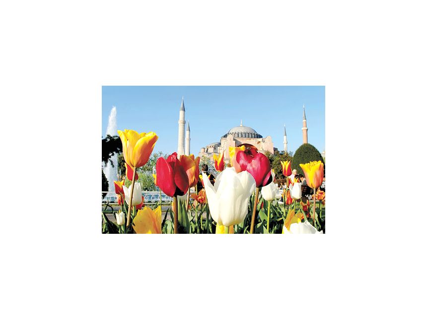 ტიტების ფესტივალი სტამბულში  ევროდ!!