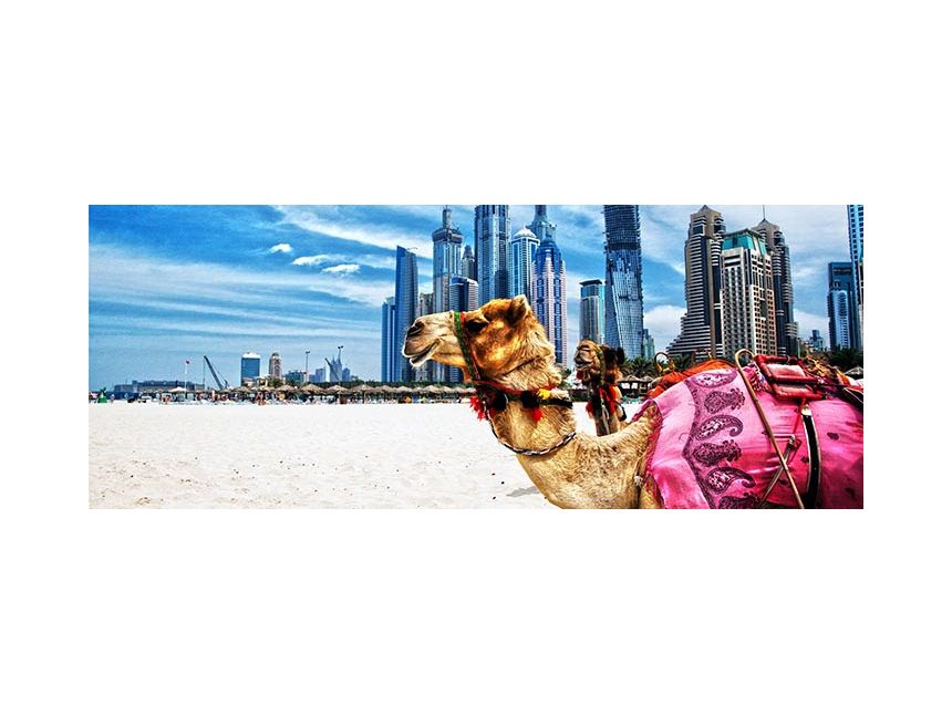 დუბაი! მოგზაურობის პერიოდი : - თებერვალი