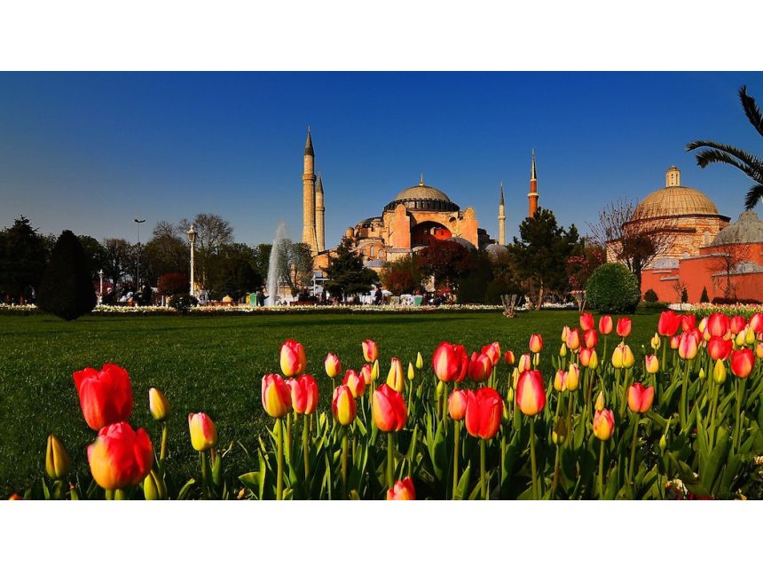 არ გამოტოვოთ შთამბეჭდავი სანახაობა რომელიც ყოველი წლის გაზაფხულზე აპრილის თვეში იმართება !