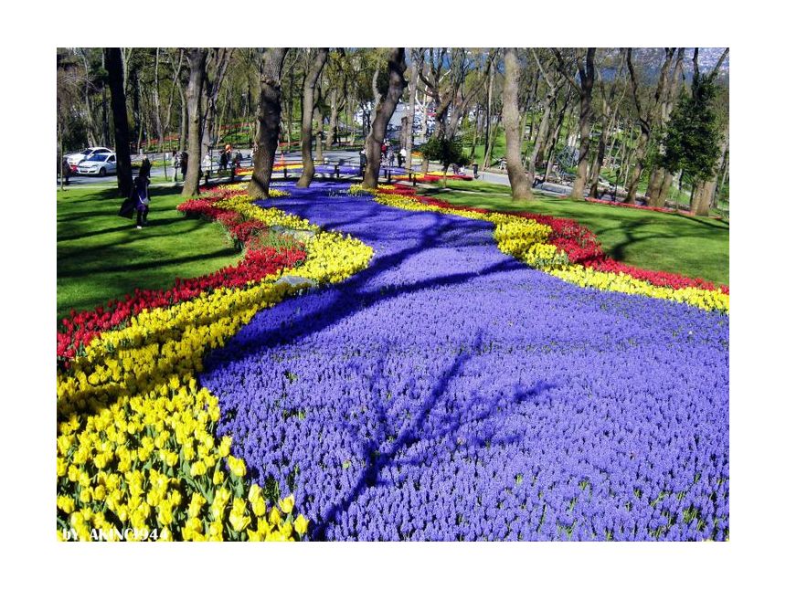 არ გამოტოვოთ შთამბეჭდავი სანახაობა რომელიც ყოველი წლის გაზაფხულზე აპრილის თვეში იმართება !