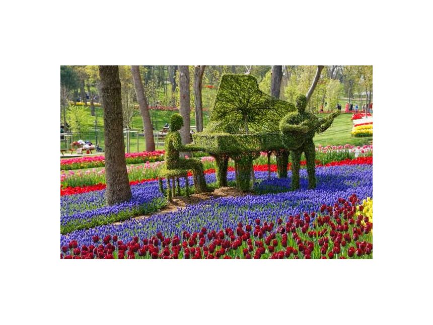 არ გამოტოვოთ შთამბეჭდავი სანახაობა რომელიც ყოველი წლის გაზაფხულზე აპრილის თვეში იმართება !