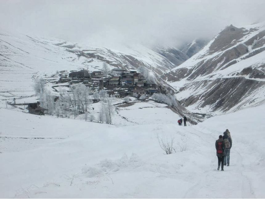 თებერვალი  კოშკოვანი ხადა