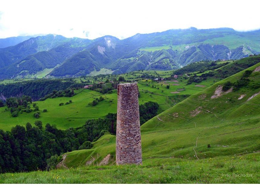 თებერვალი  კოშკოვანი ხადა