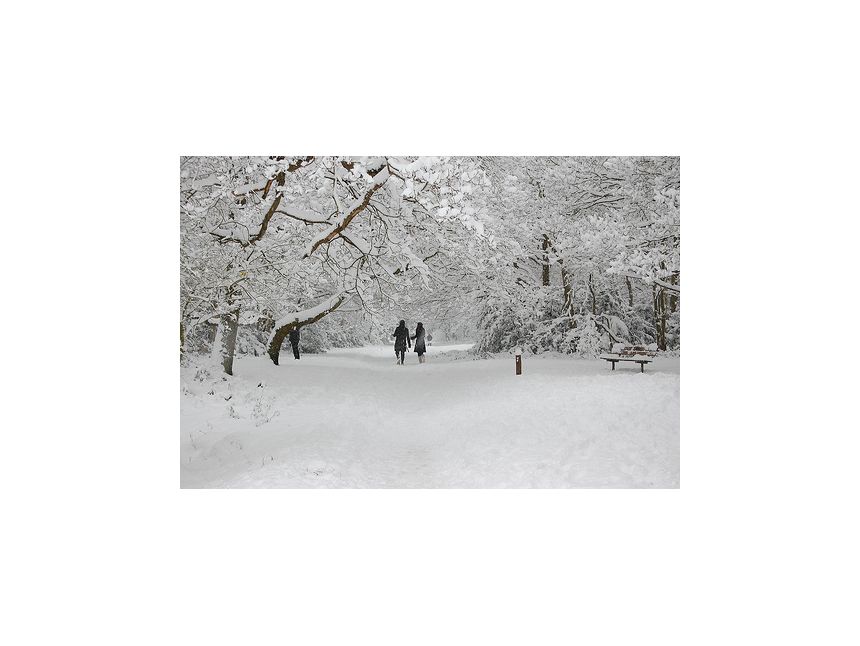 ორ დღიანი ტური ბაკურიანში