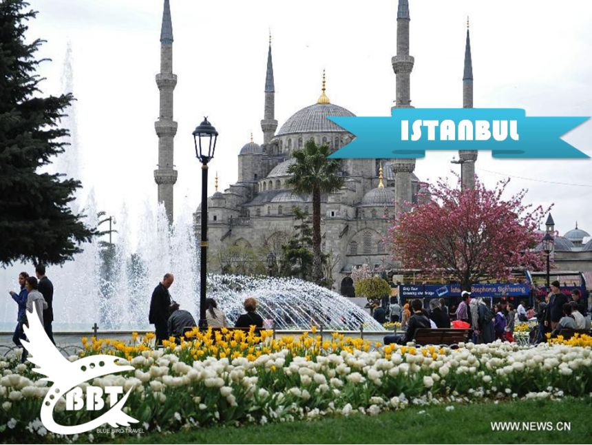 ულამაზესი ტიტების ფესტივალი სტამბოლში!