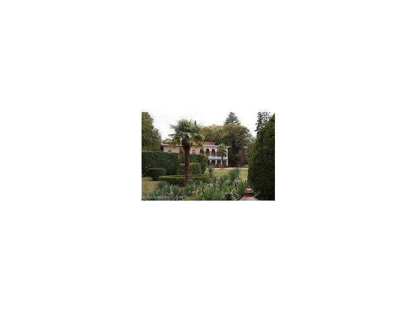 angel tour in kakheti