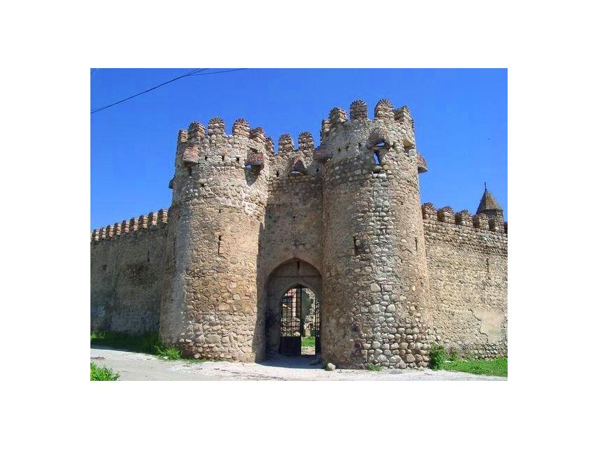 Однодневный тур в Давидо-Гареджийский монастырский комплекс и монастырь Ниноцминды Февраля