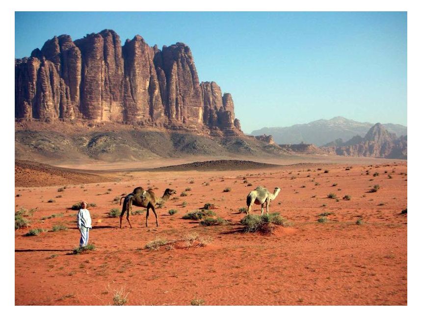 IORDANIA  моря и петра