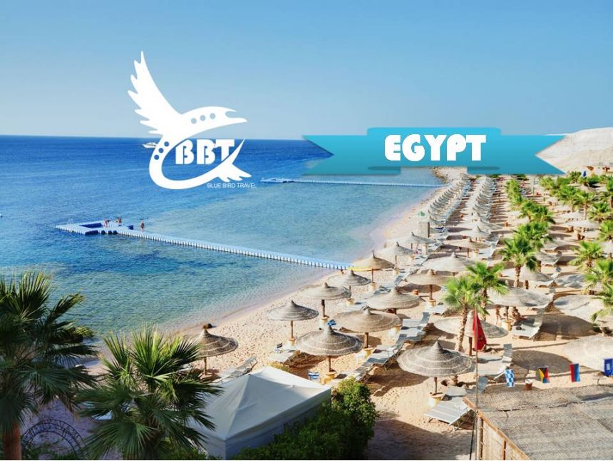 საუკეთესო შემოთავაზება!