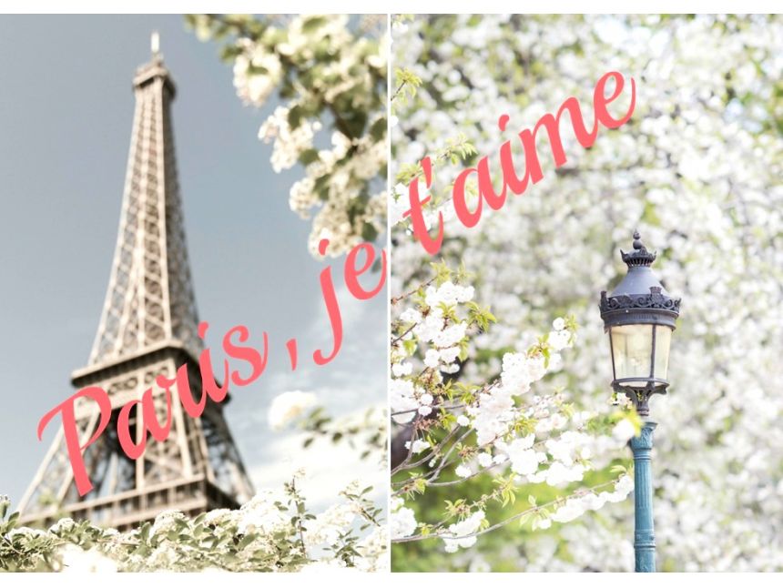 სააქციო შემოთავაზება!!! პარიზი გაზაფხულზე ერთი ორად მშვენიერია არ გაუშვა შანსი -ეზიარო ამ მაგიურ მშვენიერებას ტელ.: , მობ.: