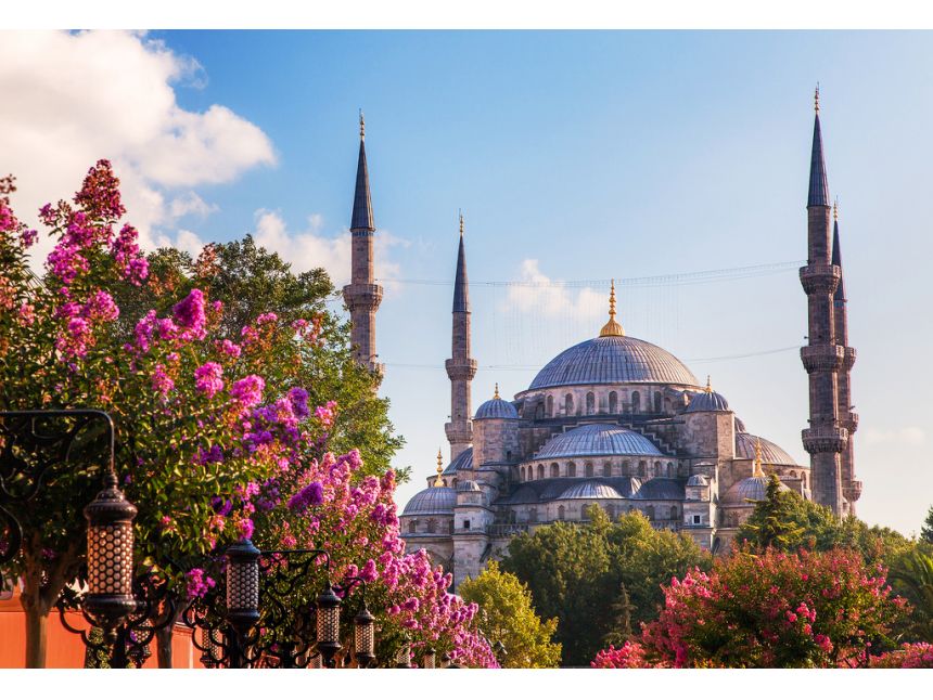 სტამბული საუკეთესო ფასად