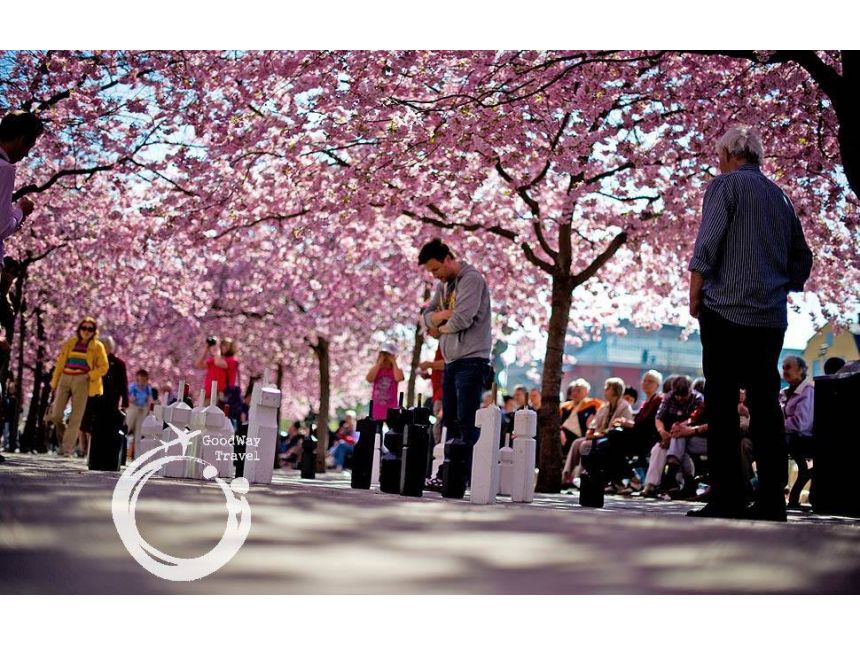 გაზაფხული პეპი გრძელწინდასა და ვიკინგების სამშობლოში