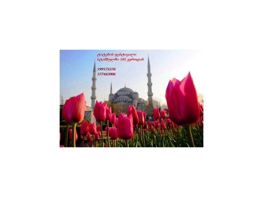 სულ მალე დაიწყება ტიტების ფესტივალი სტამბულში