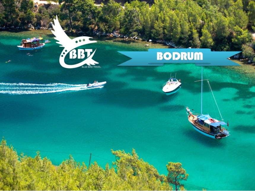 გააკეთეთ ნაადრევი ჯავშნები, ბოდრუმის საგზურებზე!