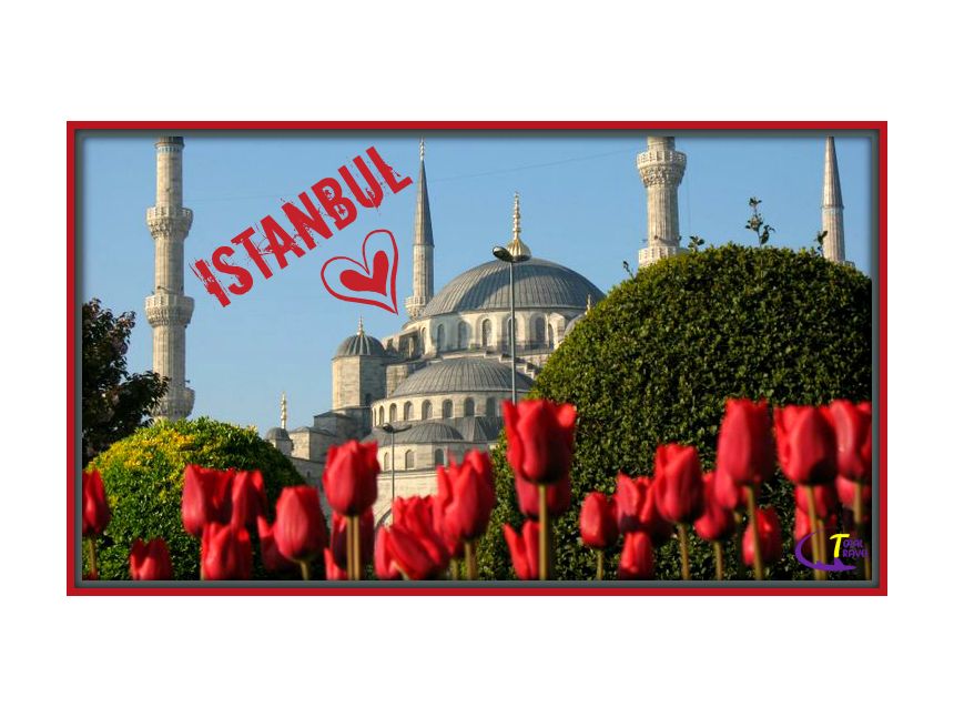 ტიტების ფესტივალზე აქცია გრძელდება! 