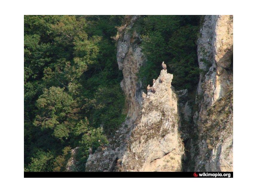 მარტი დღიანი ტური ელიას მთა, ხორნაბუჯის ციხე, არწივის ხეობა