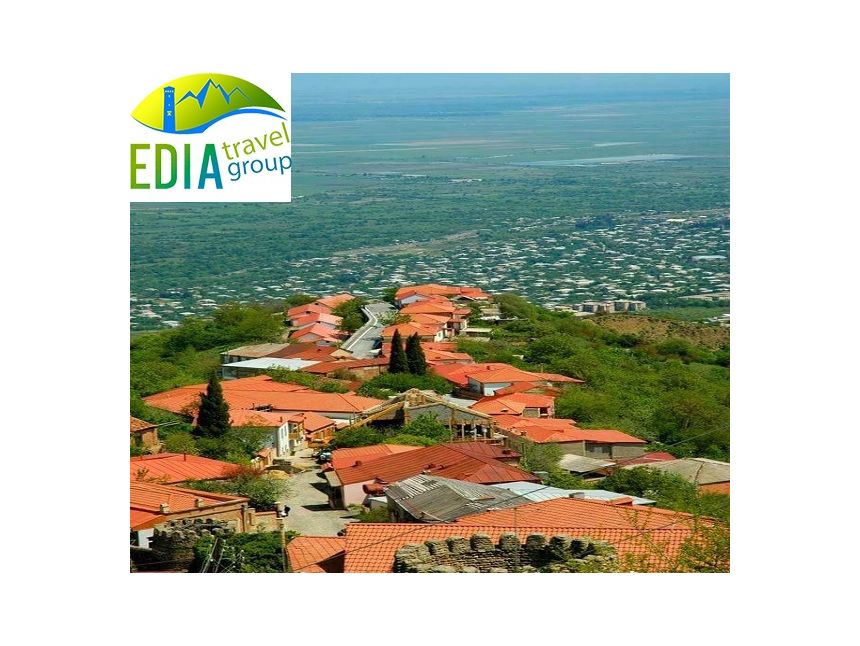 გთავაზობთ გაზაფხულის ერთდღიან ტურს კახეთში!