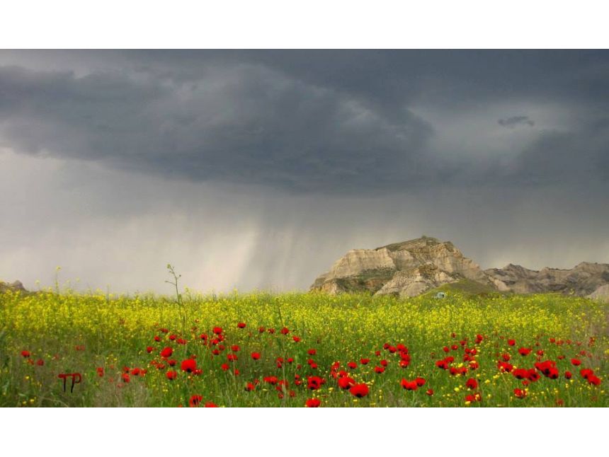 ხვალ! ვაშლოვანი - ტალახის ვულკანები/დარჩა ადგილი