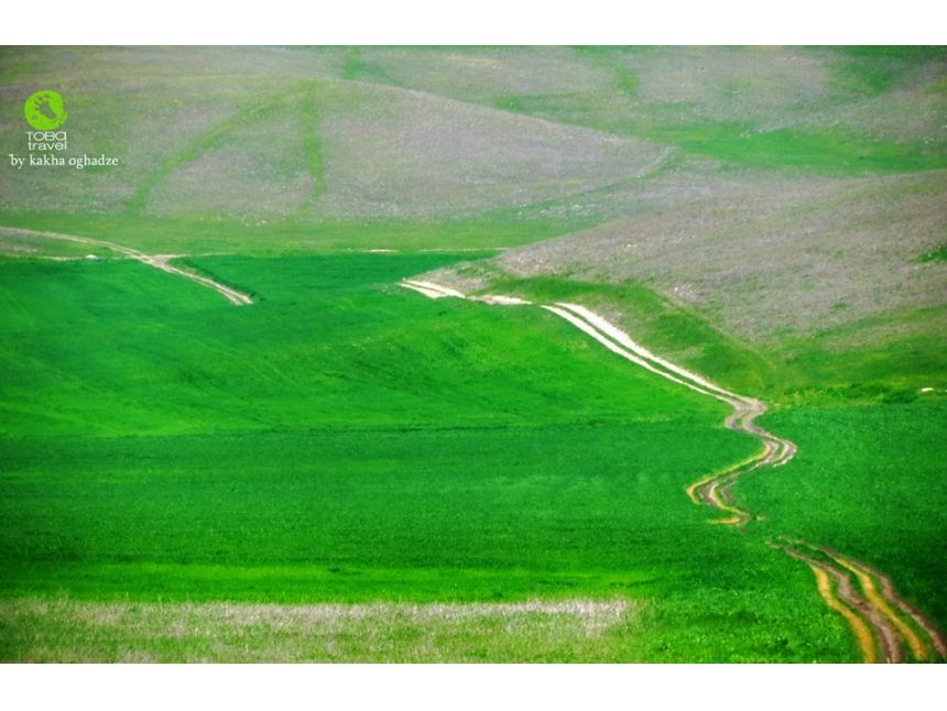ხვალ! ვაშლოვანი - ტალახის ვულკანები/დარჩა ადგილი