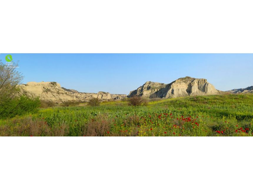 ხვალ! ვაშლოვანი - ტალახის ვულკანები/დარჩა ადგილი