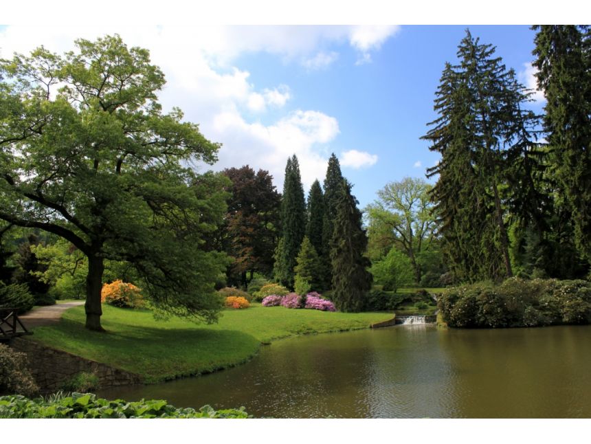 პრაღა / ჩეხეთი ☎ , MOB: