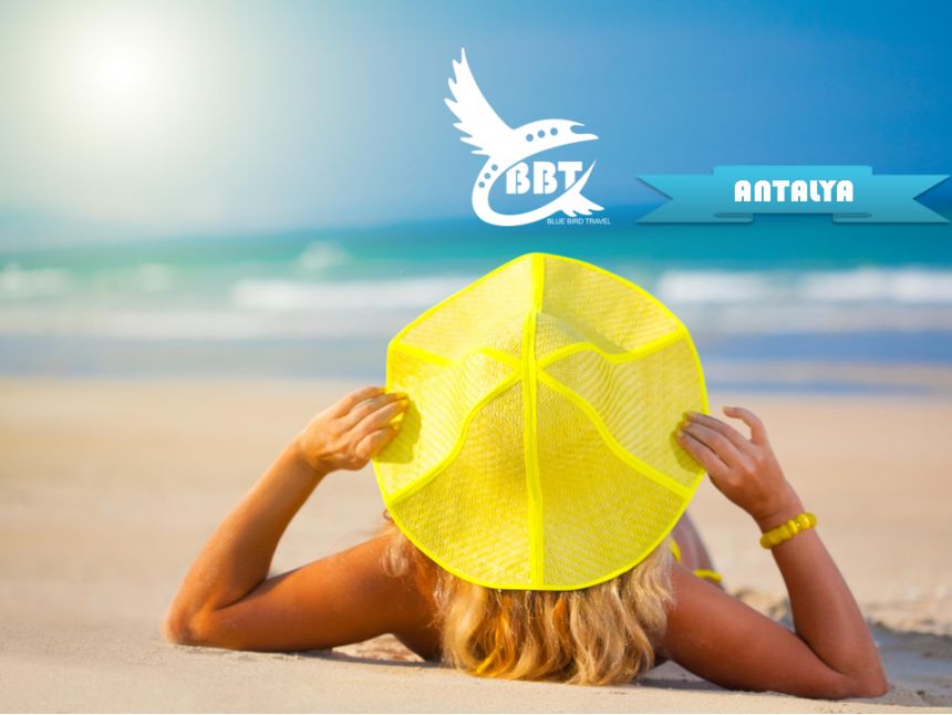 დიდი ფასდაკლება ადრეულ ჯავშნებზე!!!