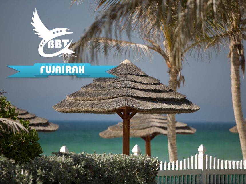 გთავაზობთ საგზურებს აჯმანისა და ფუჯეირას მიმართულებით , საუკეთესო ფასად !