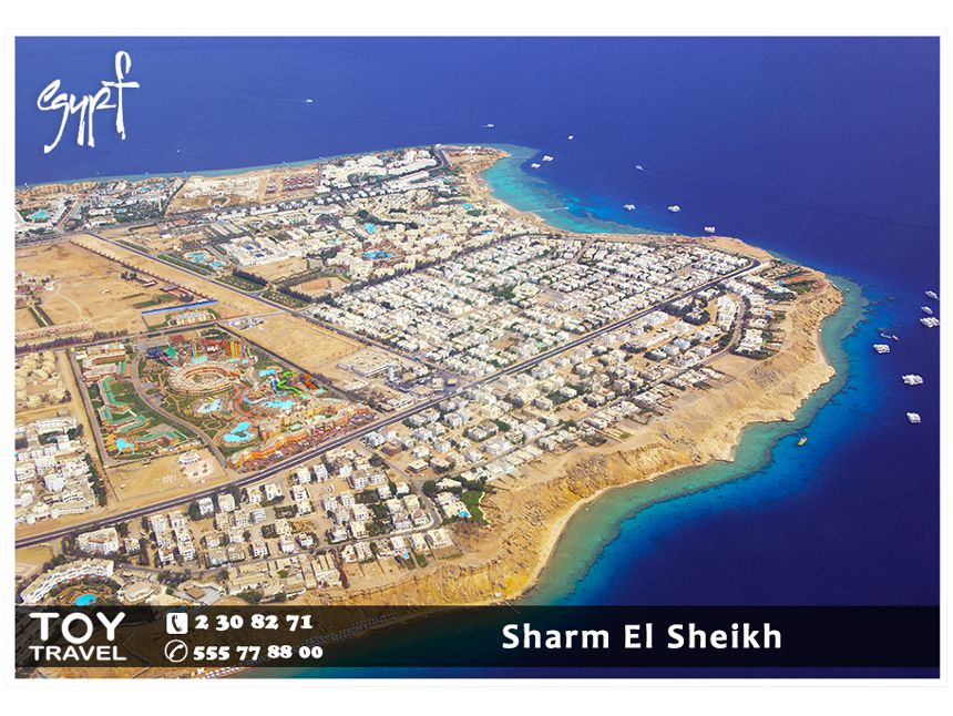 ▸ ეგვიპტე / შარმ ელ შეიხი. დან + ექსკურსია საჩუქრად!