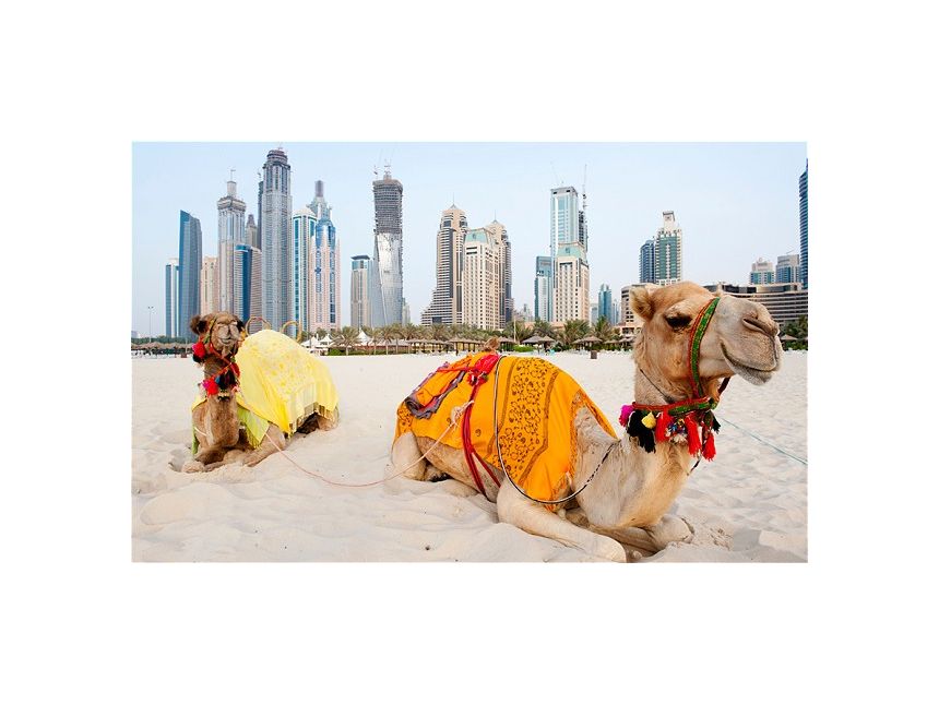 Dubai - სრული პაკეტი -დან