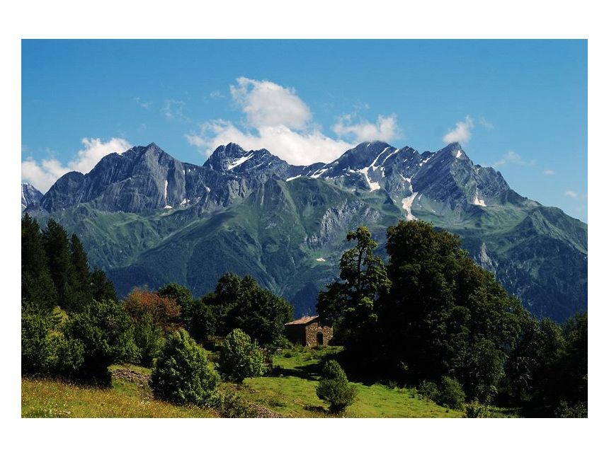 - მაისი რაჭის დღიანი ტური