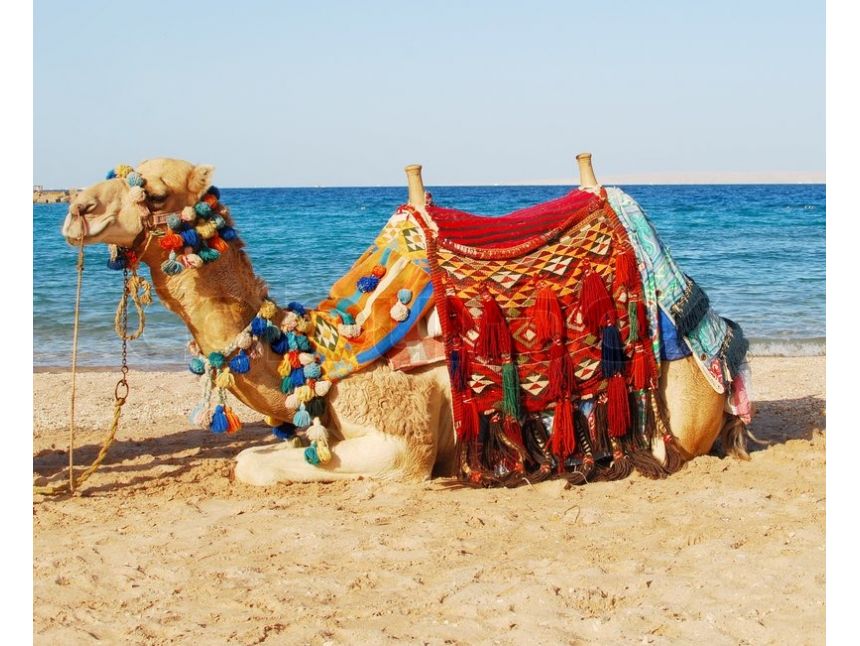 ცხელი დღე შარმ ელ შეიხში დან !