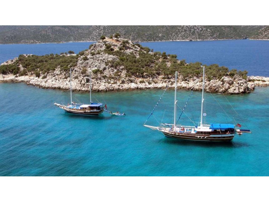 ექსკლუზიური ფასი!თურქეთი