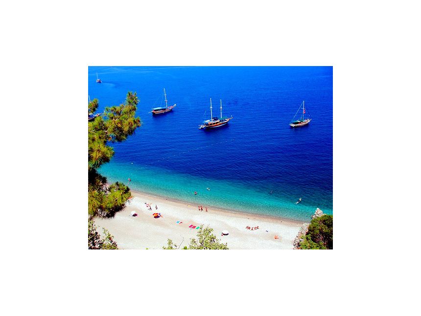 ექსკლუზიური ფასი!თურქეთი