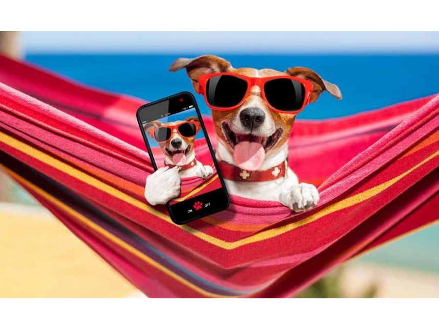 სპეციალური ფასები ანტალიის მიმართულებით -