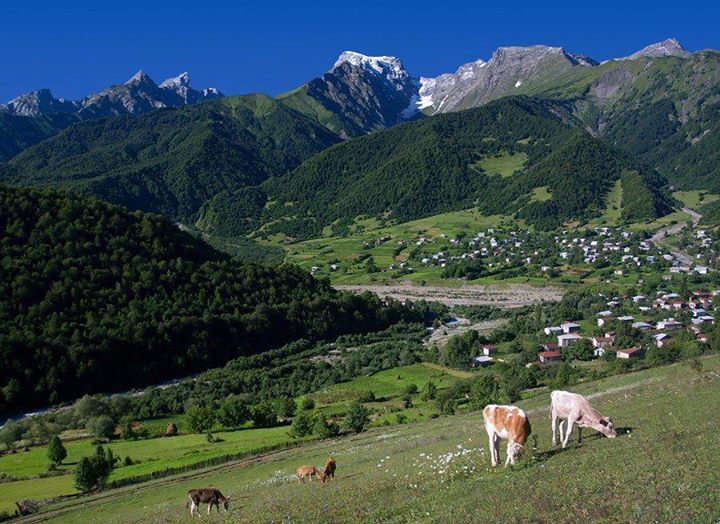 ტური ზემო რაჭაში (გონა-ღები-შოვი)