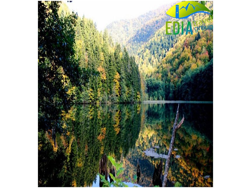    ტურისტული კომპანია "EDIA Travel Group" გთავაზობთ ერთდღიან  საზაფხულო ტურს :   ძამას ხეობაში