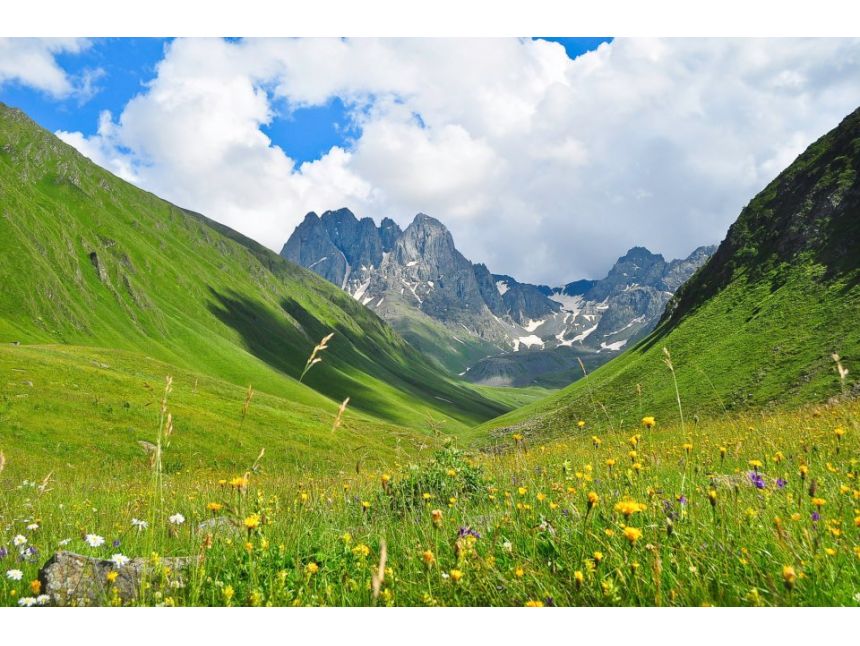 ტური ჯუთაში - ივნისი (შაბათი)