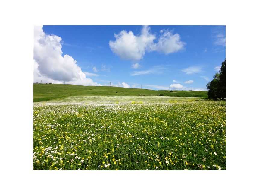 ხადა, კოშკოვანი ულამაზესი ხეობა სპეც. ფასად