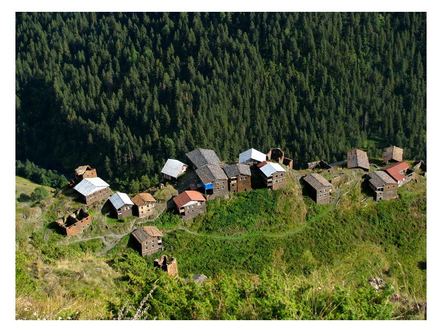 წამოდი თუშეთში ივნისს!!!