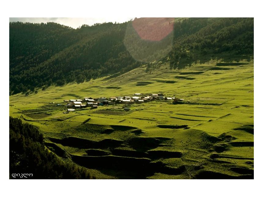 წამოდი თუშეთში ივნისს!!!