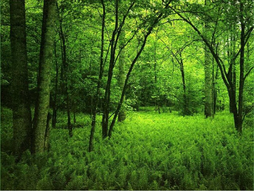 შექმენი საკუთარი ტური თუ ვერ პოულობთ თქვენთვის სასურველ ტურს --