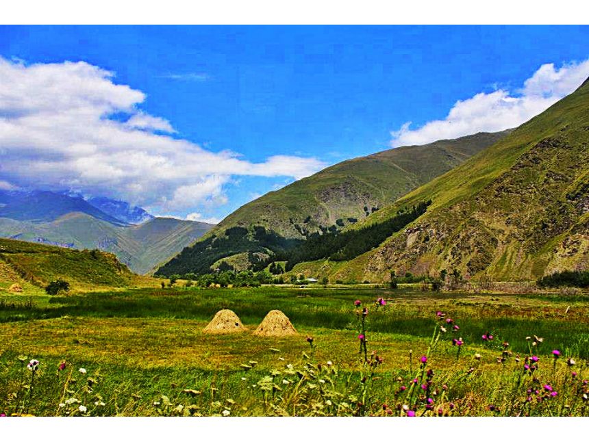 გთავაზობთ ტურს ☛ ჯუთაში ივნისს