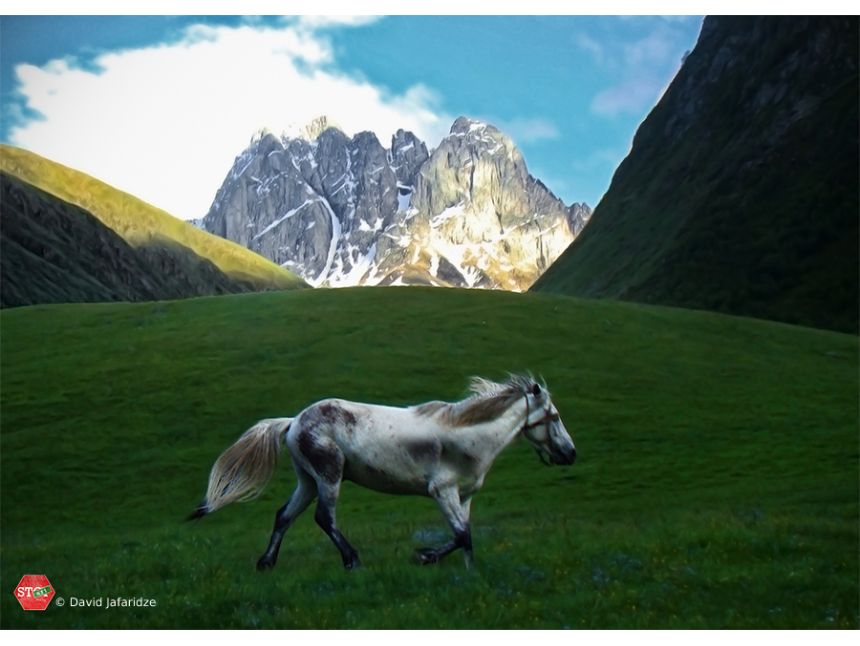აღმოაჩინე ყაზბეგი ჩვენთან ერთად ( )