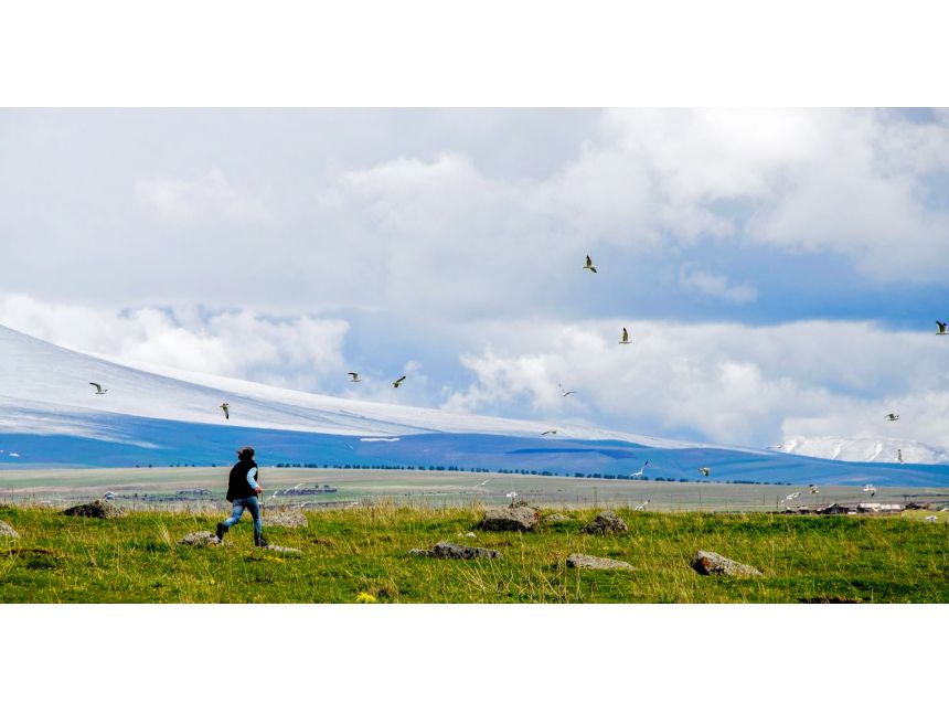 მხოლოდ ჩვენთან! ფრინველებზე დაკვირვება ჯავახეთის ტბებზე