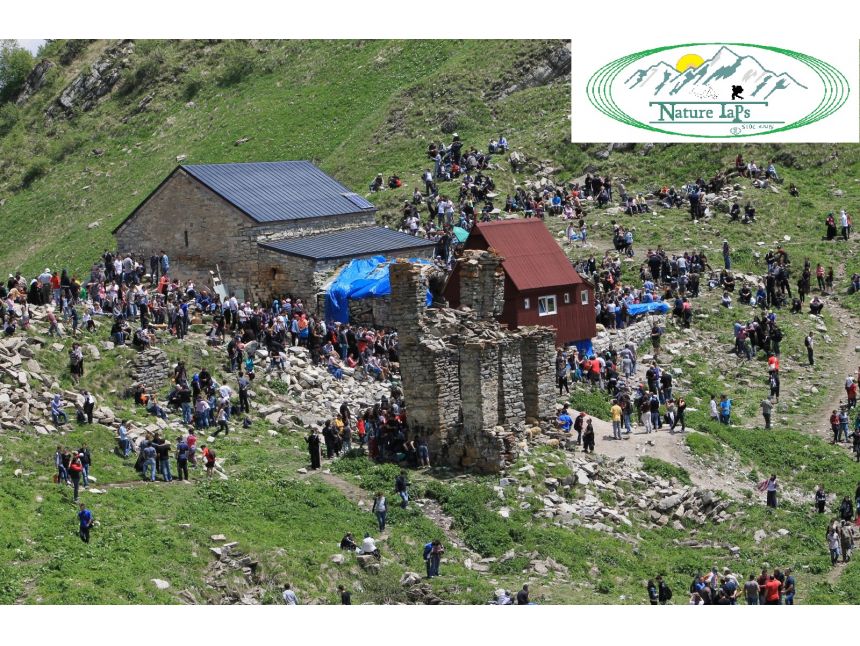 ლომისობა , თავისი კვებით ! დამიკავშირდით: (+)   გიორგი