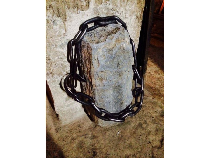 ლომისობა , თავისი კვებით ! დამიკავშირდით: (+)   გიორგი