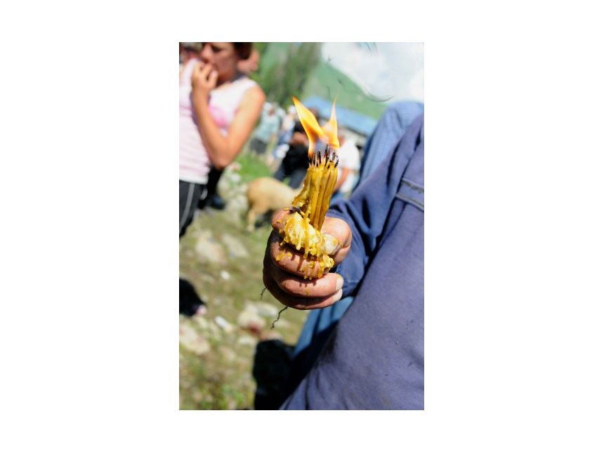 ლომისობა , თავისი კვებით ! დამიკავშირდით: (+) გიორგი